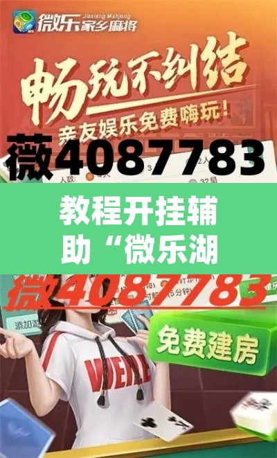 教程开挂辅助“微乐湖北麻将怎么提高胜率”(透视挂)辅助透视教程