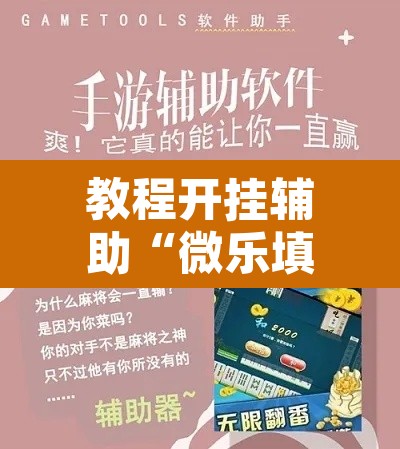 教程开挂辅助“微乐填大坑可以开挂吗”其实确实有挂