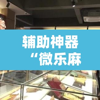 辅助神器“微乐麻将挂先试用后付款	”(透视挂)辅助透视教程
