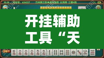 开挂辅助工具“天天黄石麻将可以开挂吗”(透视)其实确实有挂