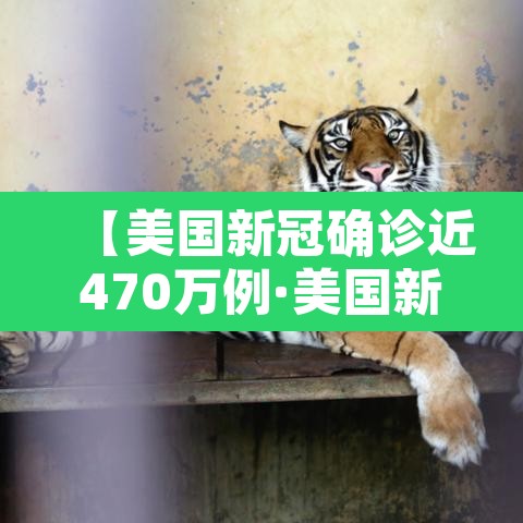 【美国新冠确诊近470万例·美国新冠确诊近697万例】 【美国新冠确诊近470万例·美国新冠确诊近697万例】