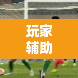 玩家辅助神器“海港玩摆头注如何开挂	”(透视挂)辅助透视教程