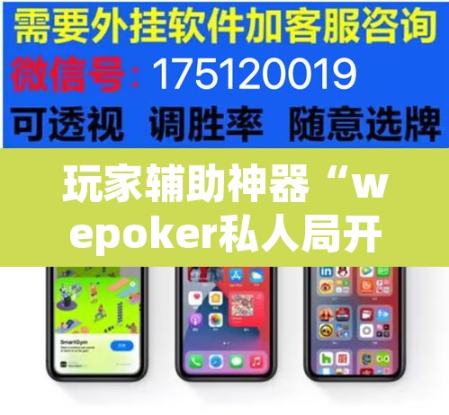 玩家辅助神器“wepoker私人局开挂透视”(透视)其实确实有挂