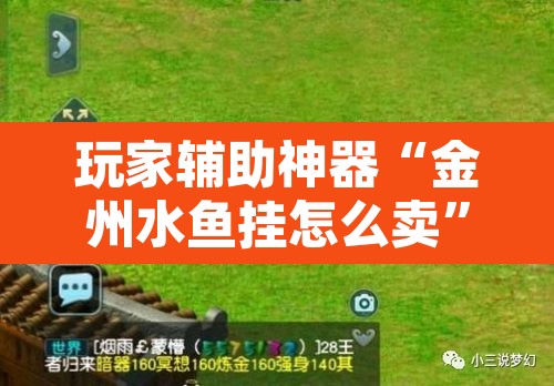 玩家辅助神器“金州水鱼挂怎么卖”其实确实有挂