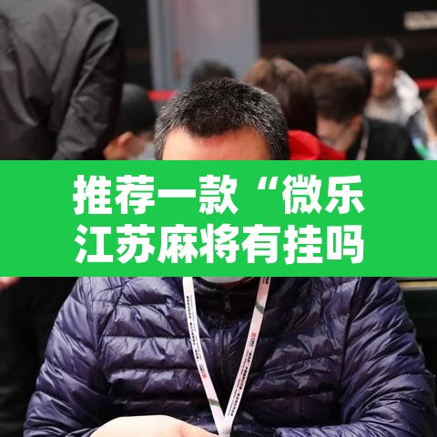 推荐一款“微乐江苏麻将有挂吗”附辅助神器开挂脚本详细步骤