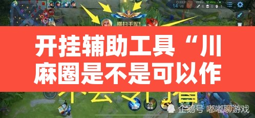 开挂辅助工具“川麻圈是不是可以作弊”其实确实有挂