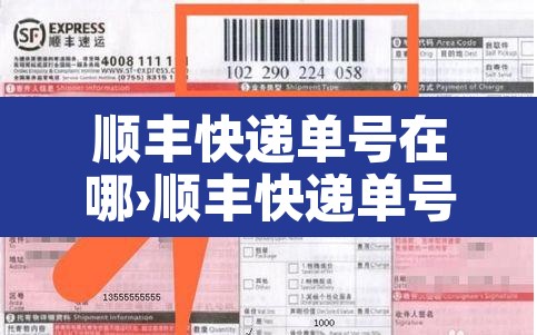 顺丰快递单号在哪›顺丰快递单号在哪里查询 顺丰快递单号在哪›顺丰快递单号在哪里查询
