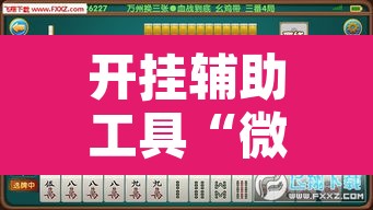 开挂辅助工具“微乐海南麻将开挂神器	”其实确实有挂