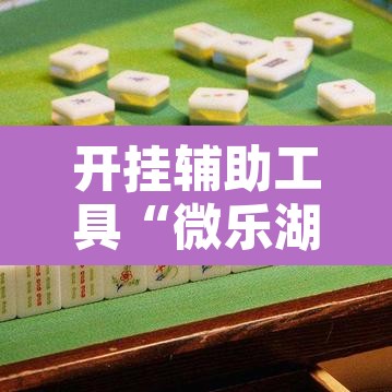 开挂辅助工具“微乐湖南麻将万能开挂器免费”开挂辅助脚本+详细开挂安装教程
