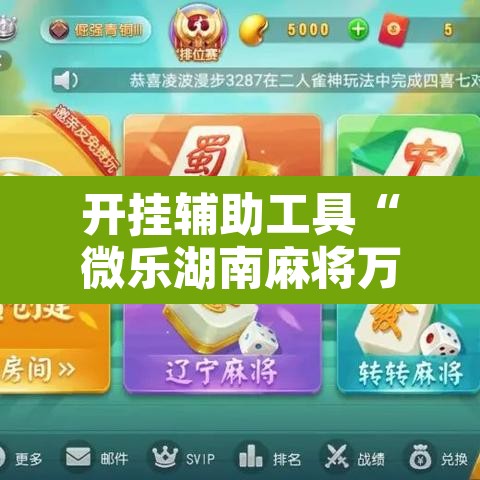 开挂辅助工具“微乐湖南麻将万能开挂器免费	”开挂辅助脚本+详细开挂安装教程