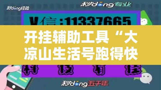 开挂辅助工具“大凉山生活号跑得快怎么开挂	”其实确实有挂