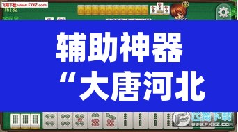 辅助神器“大唐河北麻将有挂吗	”(透视)其实确实有挂