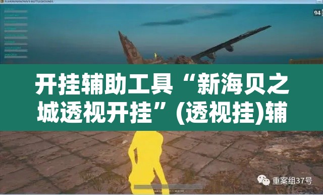 开挂辅助工具“新海贝之城透视开挂”(透视挂)辅助透视教程