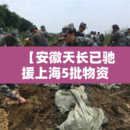 【安徽天长已驰援上海5批物资·安徽天长网】