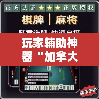 玩家辅助神器“加拿大28作弊辅助挂”(透视挂)辅助透视教程