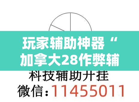 玩家辅助神器“加拿大28作弊辅助挂”(透视挂)辅助透视教程