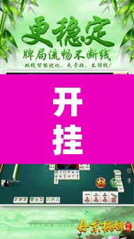 辅助神器“微乐江苏麻将万能开挂器通用版”(透视)其实确实有挂