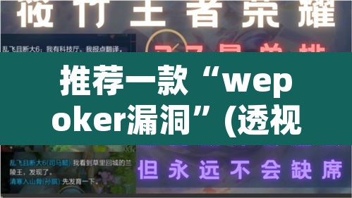 推荐一款“wepoker漏洞”(透视)其实确实有挂