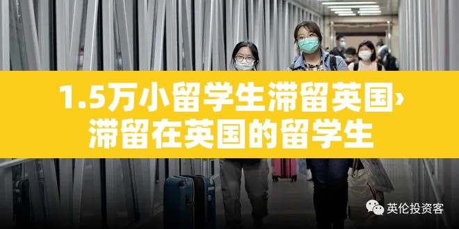 1.5万小留学生滞留英国›滞留在英国的留学生 1.5万小留学生滞留英国›滞留在英国的留学生