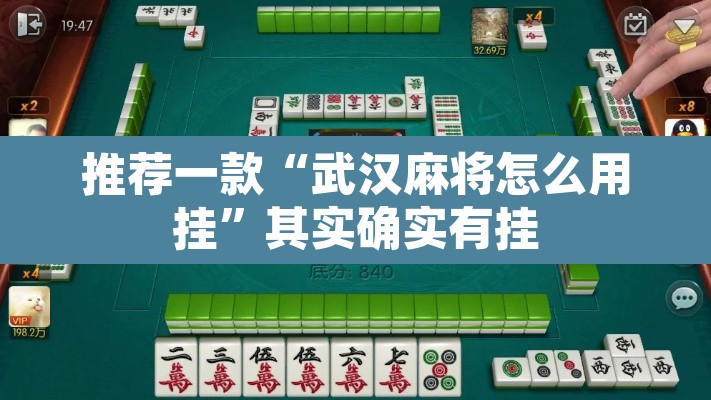 推荐一款“武汉麻将怎么用挂”其实确实有挂