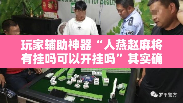 玩家辅助神器“人燕赵麻将有挂吗可以开挂吗”其实确实有挂