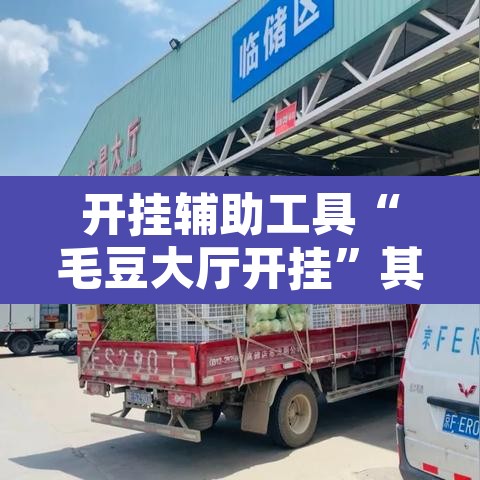 开挂辅助工具“毛豆大厅开挂”其实确实有挂