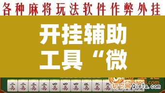 开挂辅助工具“微乐山东麻将真有挂么”附辅助神器开挂脚本详细步骤
