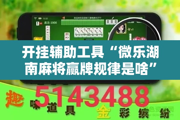 开挂辅助工具“微乐湖南麻将赢牌规律是啥”(透视)其实确实有挂