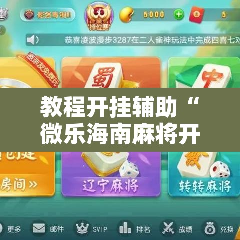 教程开挂辅助“微乐海南麻将开挂应用	”开挂辅助脚本+详细开挂安装教程