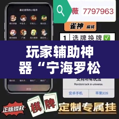 玩家辅助神器“宁海罗松如何开挂”开挂辅助脚本+详细开挂安装教程
