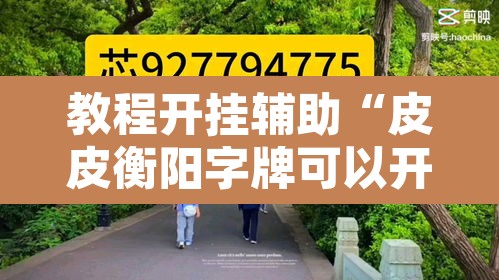 教程开挂辅助“皮皮衡阳字牌可以开挂	”其实确实有挂
