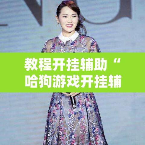 教程开挂辅助“哈狗游戏开挂辅助软件”(透视)其实确实有挂