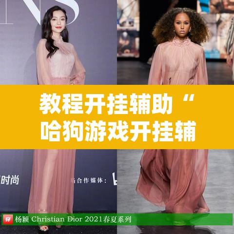 教程开挂辅助“哈狗游戏开挂辅助软件”(透视)其实确实有挂