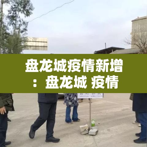盘龙城疫情新增:盘龙城 疫情 盘龙城疫情新增:盘龙城 疫情