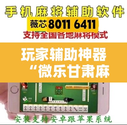 玩家辅助神器“微乐甘肃麻将万能开挂器”开挂辅助脚本+详细开挂安装教程