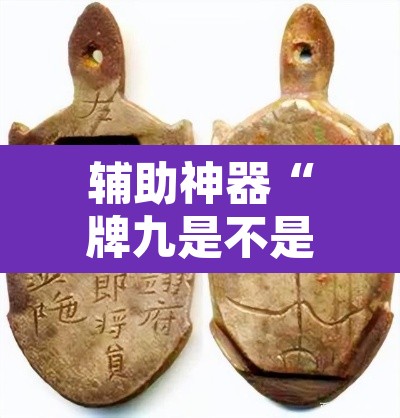 辅助神器“牌九是不是有挂”其实确实有挂
