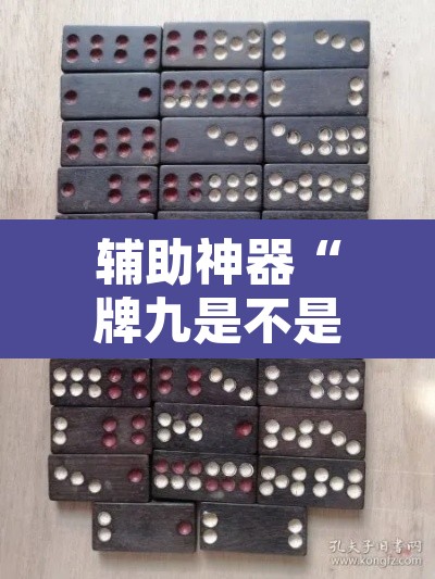 辅助神器“牌九是不是有挂”其实确实有挂