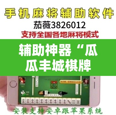 辅助神器“瓜瓜丰城棋牌挂怎么安装	”其实确实有挂
