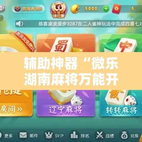 辅助神器“微乐湖南麻将万能开挂器通用版”附辅助神器开挂脚本详细步骤