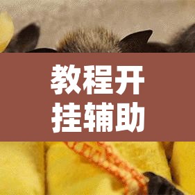 教程开挂辅助“手机麻将软件只赢不输”其实确实有挂