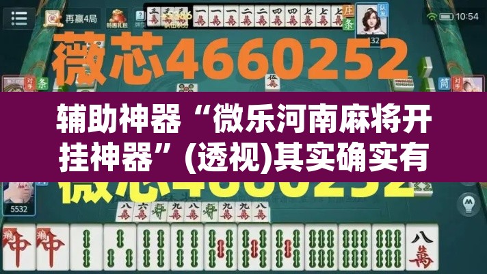 辅助神器“微乐河南麻将开挂神器”(透视)其实确实有挂