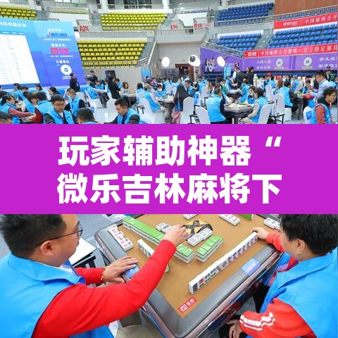 玩家辅助神器“微乐吉林麻将下载安装到手机”附辅助神器开挂脚本详细步骤