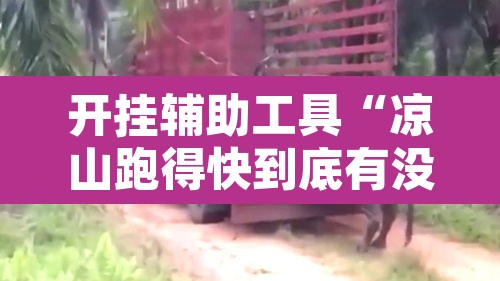 开挂辅助工具“凉山跑得快到底有没有挂”其实确实有挂