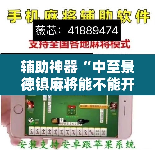 辅助神器“中至景德镇麻将能不能开挂”(透视)其实确实有挂