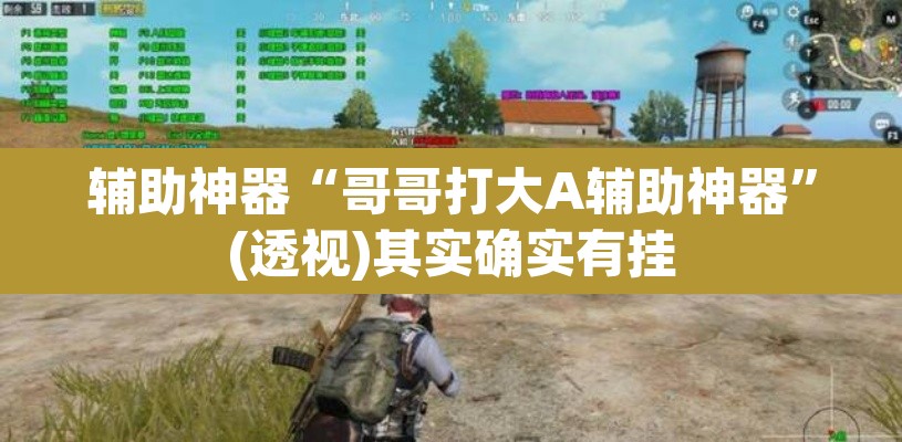辅助神器“哥哥打大A辅助神器”(透视)其实确实有挂