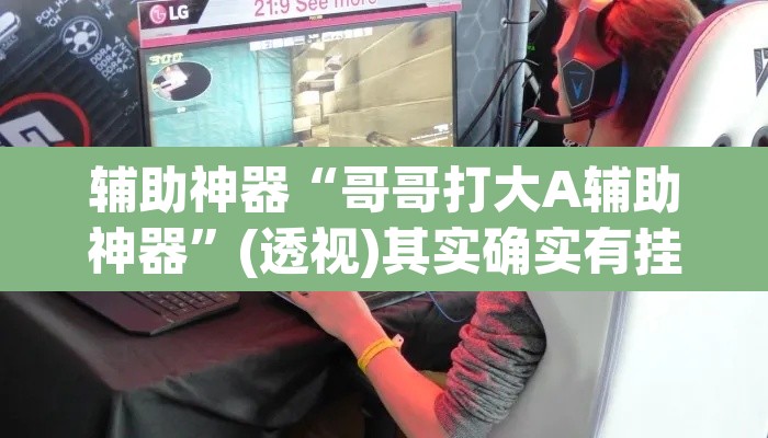 辅助神器“哥哥打大A辅助神器”(透视)其实确实有挂