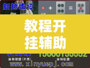 教程开挂辅助“德扑之星辅助作弊透视教程”其实确实有挂