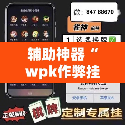 辅助神器“wpk作弊挂透视教程”(透视)其实确实有挂