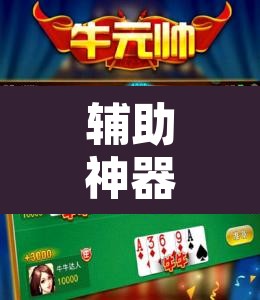 辅助神器“九九休闲斗牛辅助器辅助透视脚本”附辅助神器开挂脚本详细步骤