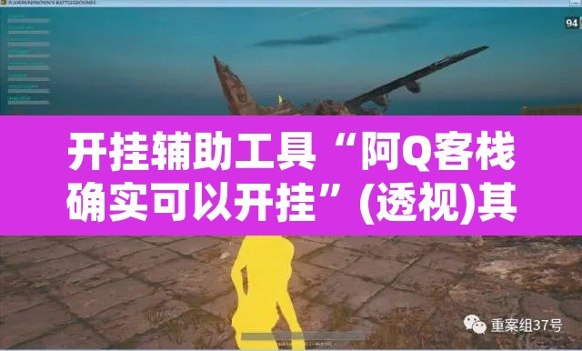 开挂辅助工具“阿Q客栈确实可以开挂”(透视)其实确实有挂